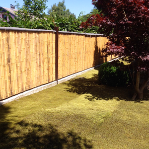 Gartenbegrünung Gartenbegrünung