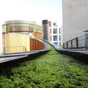 Moosmatten auf Gebäude Moosmatten auf Gebäude